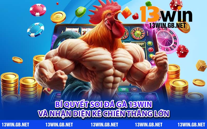 Bí quyết soi đá gà 13WIN và nhận diện kê chiến thắng lớn