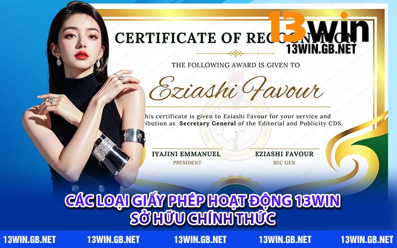 Các loại giấy phép hoạt động 13WIN sở hữu chính thức